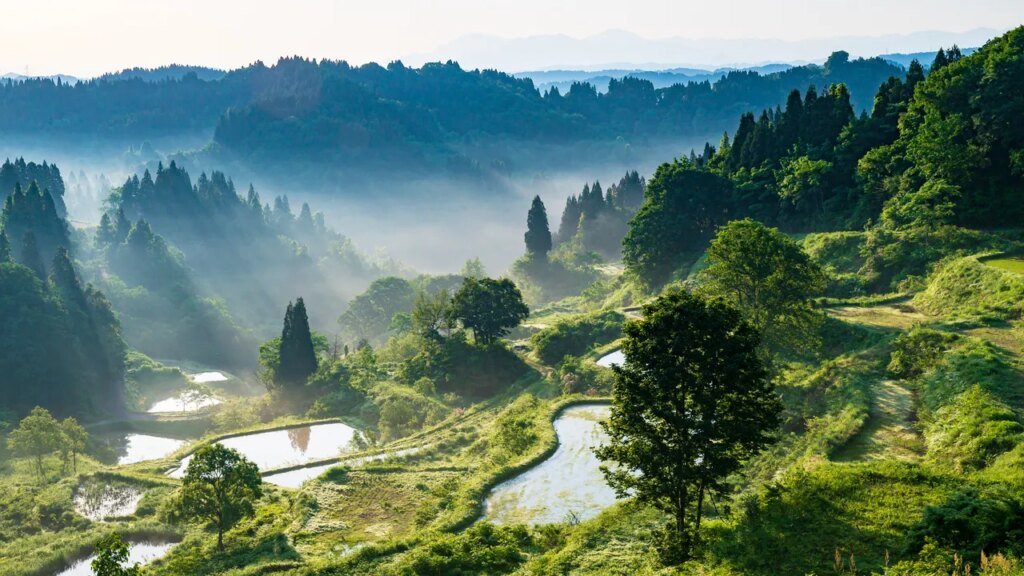 Niigata: Discover Japan’s Premier Destination for Skiing, Seafood, and Sake What to Do in Niigata, Japan’s Haven for Skiing, Seafood, and Sake