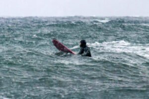 Surf Conditions Dreadful, Yet I’m Paddling Out for a Challenge Mediocre surfing conditions: always better than staying dry