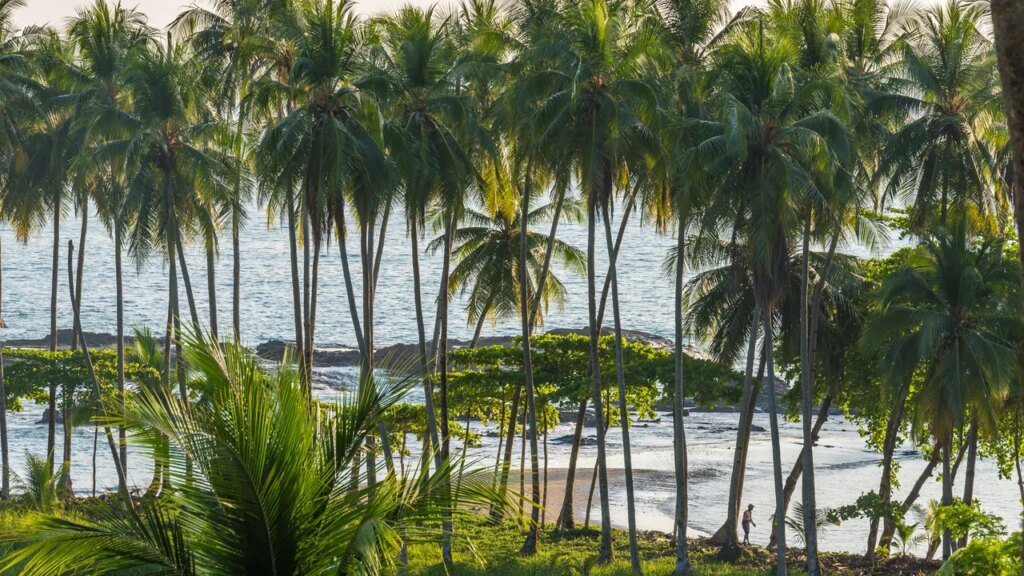 Affordable Honeymoon Destinations That Spark Love Without Debt 15 Most Affordable Honeymoon Destinations Where You'll Fall Deeply in Love, Not in Debt