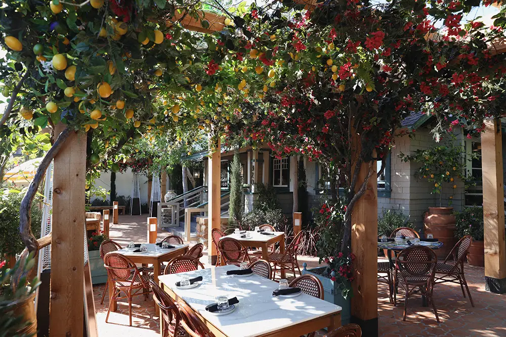 Truly Pizza Launches in Laguna Beach on North Coast Highway Truly Pizza Opens in Laguna Beach on North Coast Highway